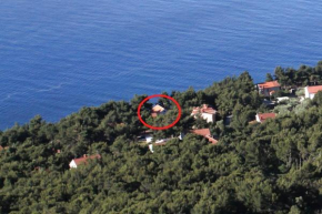 Apartments by the sea Zavala, Hvar - 8809